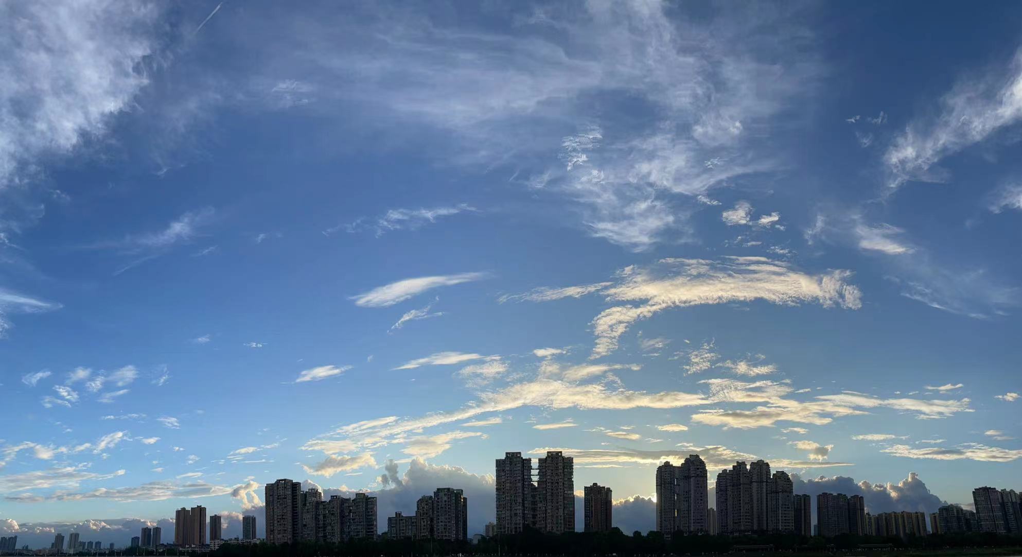 a65bfebe7a165ec0d87d6c1aa1759d05